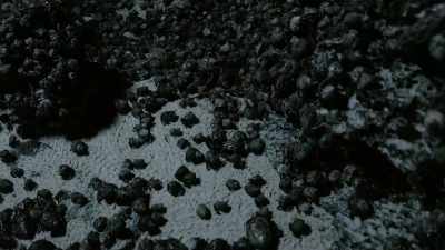 Over three days and nights,
thousands gather. - Tiny World