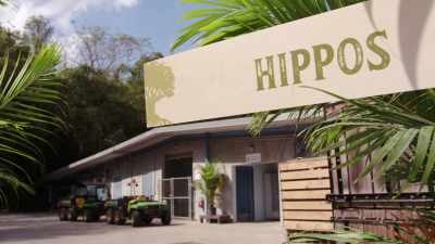 Over time, Biko and Gus
have gradually gotten to know each other, - Magic of Disney's Animal Kingdom