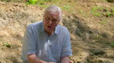 Over time, I began to learn something
about the earth's evolutionary history. - David Attenborough: A Life on Our Planet