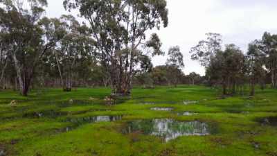 Over time,
the subsoil is forced upwards - Secrets of the Underground