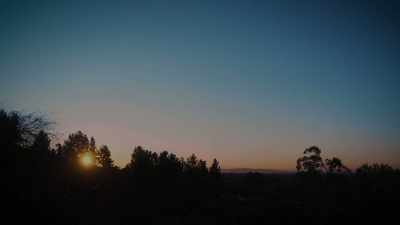 [overlapping news reports] - It’s Quieter in the Twilight