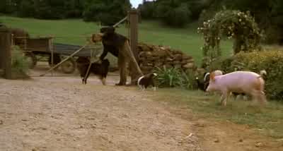 - - ¡- Ow! ¡- el Cerdo-cerdo-cochinillo! - Babe