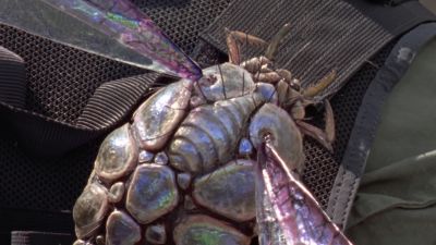 Ow! - Stargate SG-1