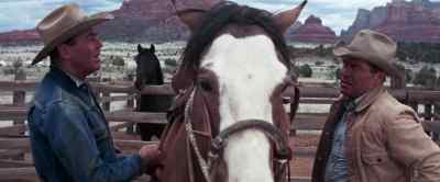 Ow.
This horse is a damn cannibal. - The Rounders