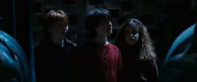 Ow! You stood on my foot!- Sorry. - Harry Potter and the Philosopher's Stone