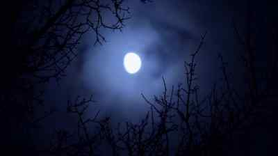 (owl hooting) - A Frosty Affair