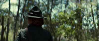 (OWL HOOTING) - Pete's Dragon