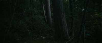 [owl hooting] - Lost on a Mountain in Maine