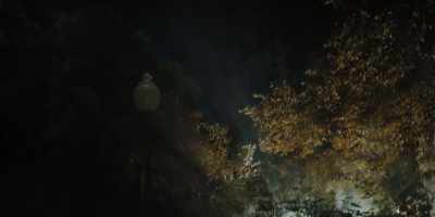 [owl hooting] - Hubie Halloween