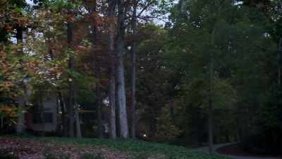 [ OWL HOOTING ] - An American Murder Mystery: The Staircase