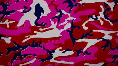 Oxidations, camouflage, Rorschach. - The Andy Warhol Diaries