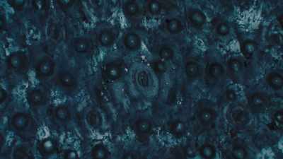 Oxygen goes out, - The Green Planet