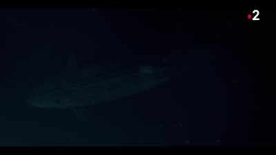 Oxygen levels
are getting too low. - Nautilus