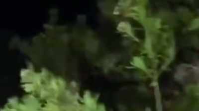 [Ozzy] What the fuck
is going on? - The Osbournes Want to Believe