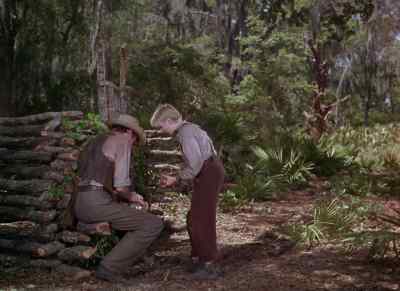 Pa, you'll bleed to death! - The Yearling