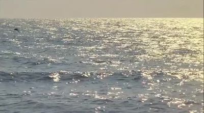 Paddling in the Atlantic Ocean - Weekend at Bernie's