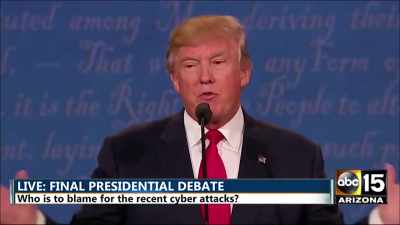 Page after page of the lies. - Trump: The Art of the Insult