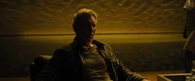 Pain reminds you
the joy you felt was real. - Blade Runner 2049