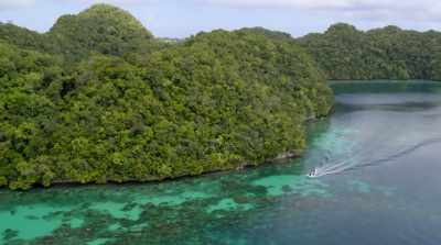 Palau is a Pacific Island nation - David Attenborough: A Life on Our Planet