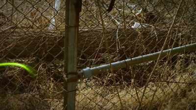Palazzolo: THAT'S KIND OF HOW
IT GOT STARTED -- - The 93 Victims of Samuel Little