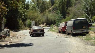 PAMELA:
Bye. Jeremy says bye! - The Last Man on Earth