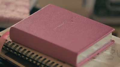 [Pamela] "I'm glad I got this diary." - Pamela, A Love Story