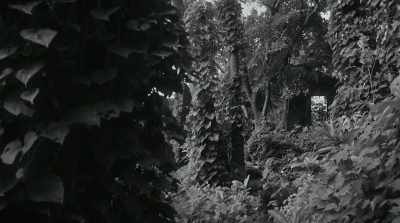 Panagas was gone too.
Vanished. - The Field Guide to Evil