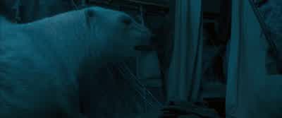 PANTALAIMON: Don't worry. - The Golden Compass