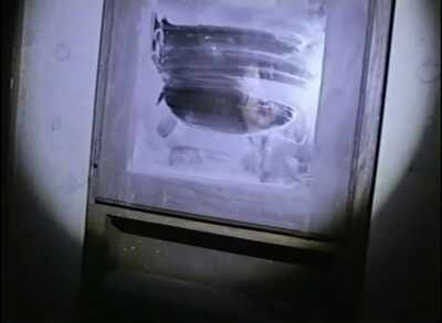 (panting continues) - Phoenix Forgotten