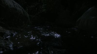 [panting, grunting] - NCIS