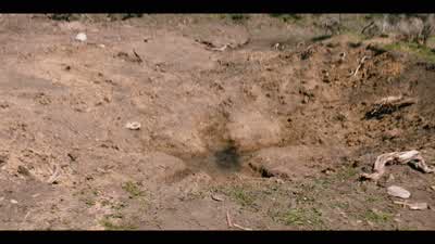 - ♪ ♪ - Should have let me shoot him. - Yellowstone