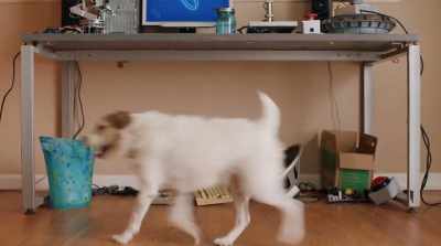 [panting] - Pups Alone