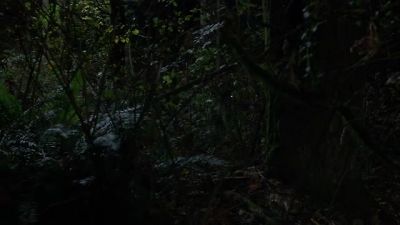 [panting] - Grimm