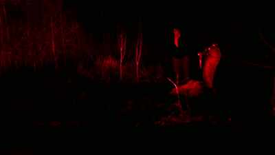 [ PANTING ] - Bloodlands