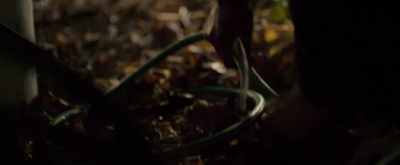 [panting] - Pyewacket