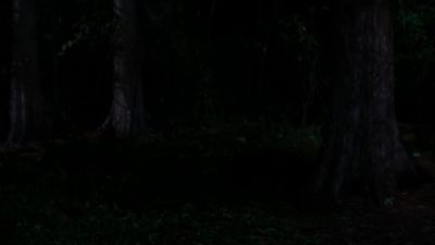 [ Panting ] - Supernatural