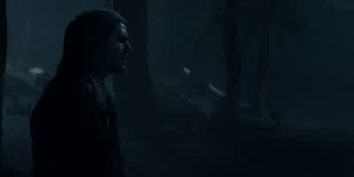 Not a happy ever after, after all. - The Witcher