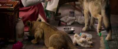 [Panting] - The Wolf and the Lion