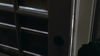 It's just a damn dog. - The Walking Dead