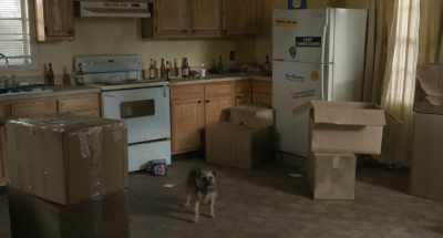 (panting) - Strays