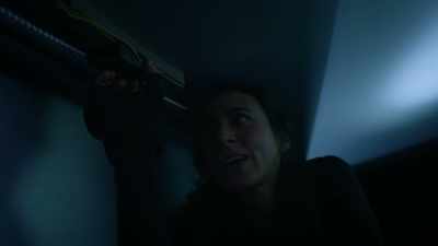 (panting) - True Lies