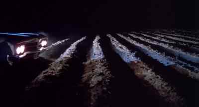 [Panting, Shoveling] - Blood Simple