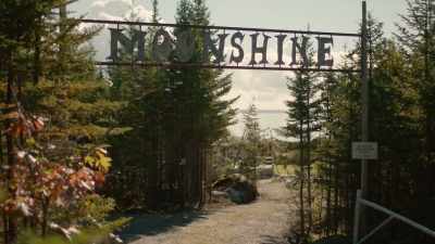 (paper rustles) - Moonshine
