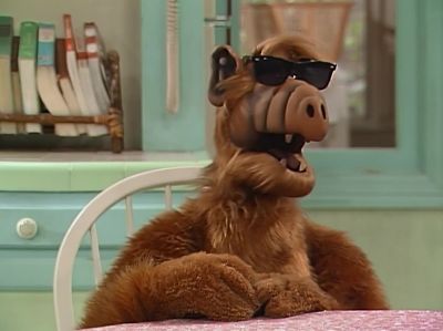           ¶ Georgia ¶ - ALF