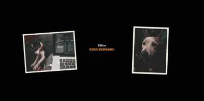 ¶ I thought I'd make it - Koko: A Red Dog Story