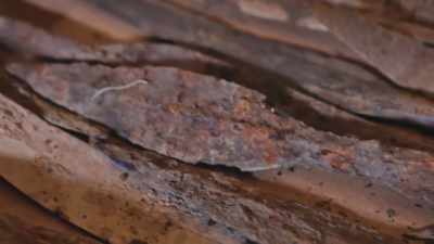¶¶ - Lost Relics of the Knights Templar