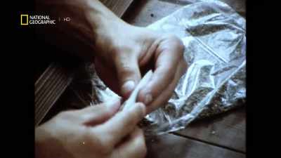 ¶¶ - America's War on Drugs