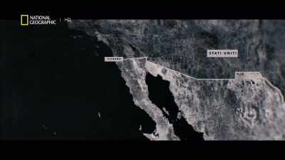 ¶¶ - America's War on Drugs