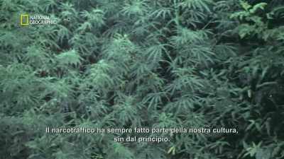 ¶¶ - America's War on Drugs