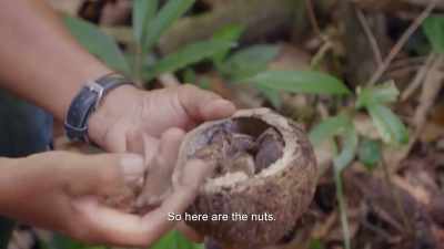 ¶ - Lost Cities of the Amazon
